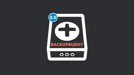 BackupBuddy iThemes