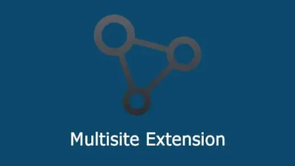 All in One WP Migration Multisite Extension Latest