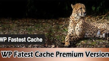 WP Fastest Cache Premium Latest