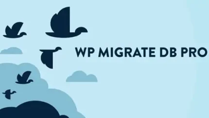 WP Migrate DB Pro