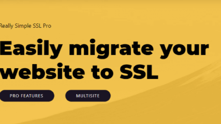 Really Simple SSL Pro Plugin Latest